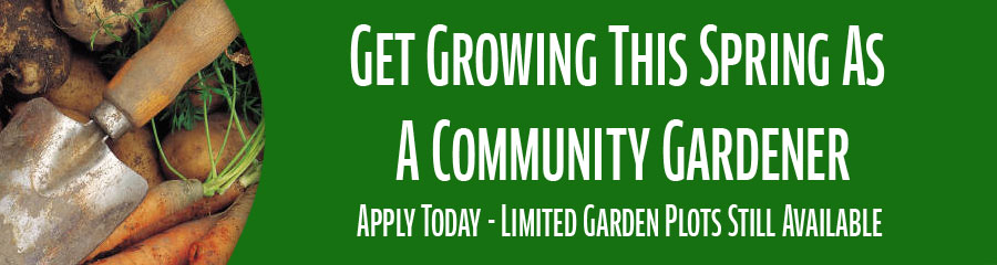 Community Gardener